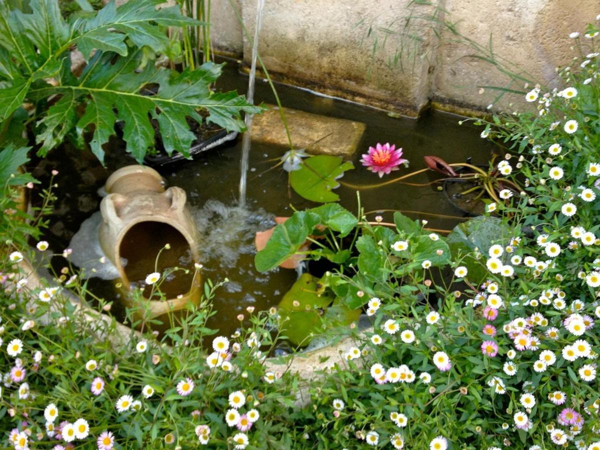 Le Puits Sainte Claire Bed & Breakfast Courçon Dış mekan fotoğraf